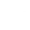 LG LG